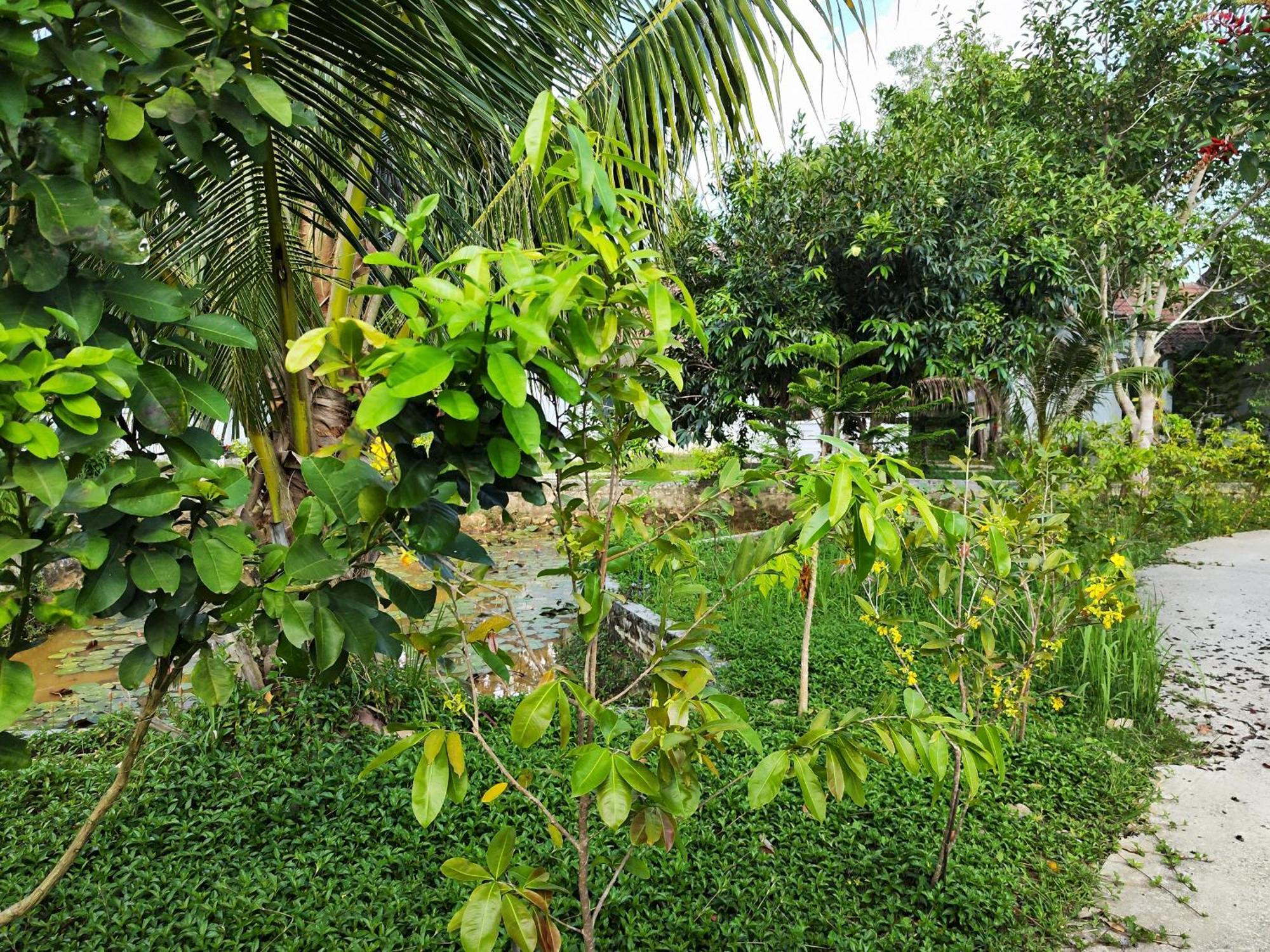 Y Village Resort Phú Quốc Exterior foto